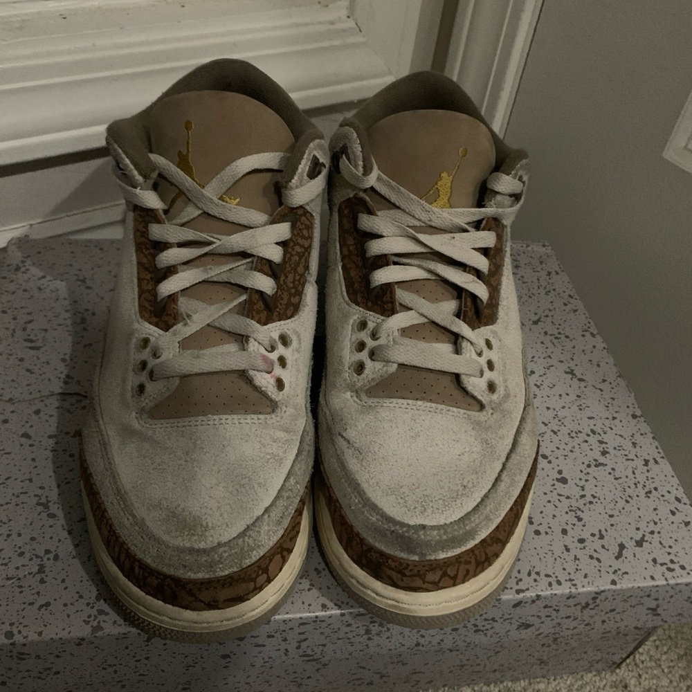 Jordan 3